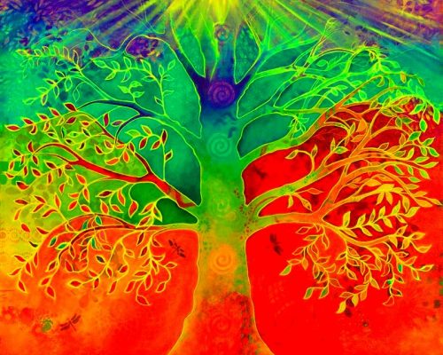 arbol sagrado arbol sagrado
